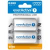 EverActive R20/D Ni-MH 10000 mAh